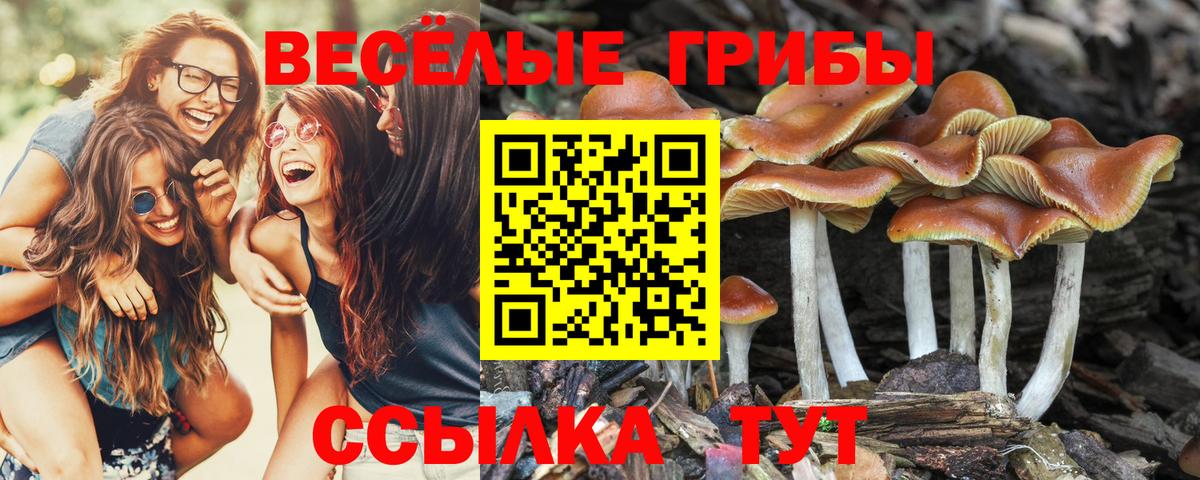 Галлюциногенные грибы ЛСД Вышний Волочёк