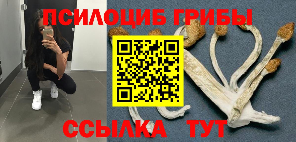 Псилоцибиновые грибы GOLDEN TEACHER  Галлюциногенные грибы Psilocybine cubensis  Вышний Волочёк  Вход с VPN 